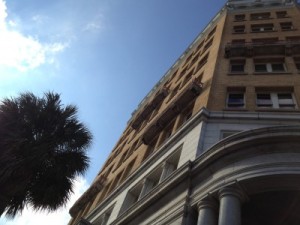 Palm tree and cool building in downtown Charleston 