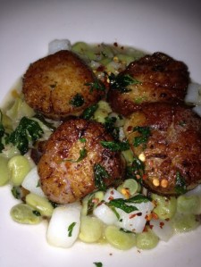 Scallops at Muse restaurant in Charleston. Fennel dusted and served on top lima beans, shitaake mushrooms, potatoes, leeks, & mint.